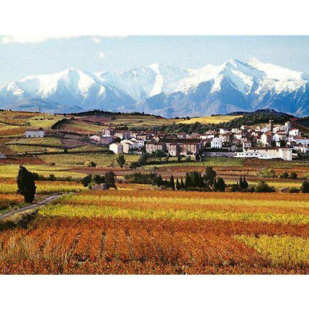 Entre Mer Et Montagne Montner Bagian luar foto